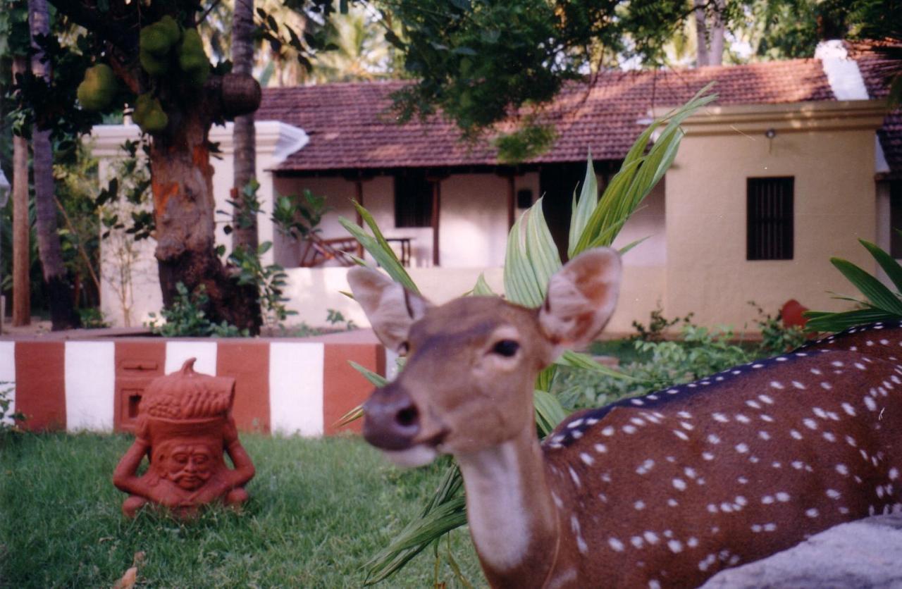 Indeco Hoteles Swamimalai Kumbakonam Exterior foto